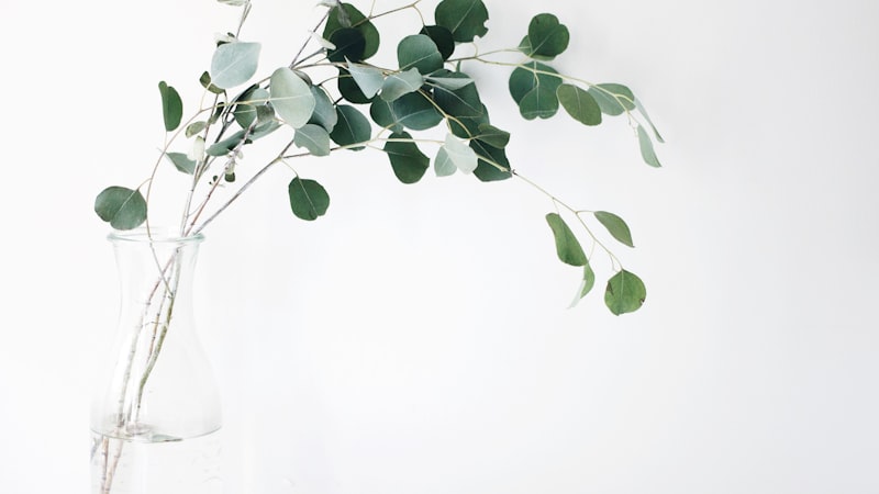 Peat and sustainability