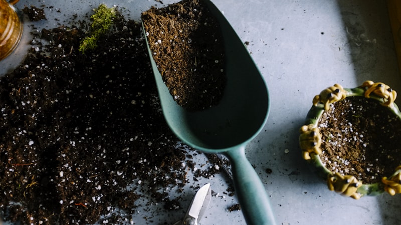 Plant care and soil health